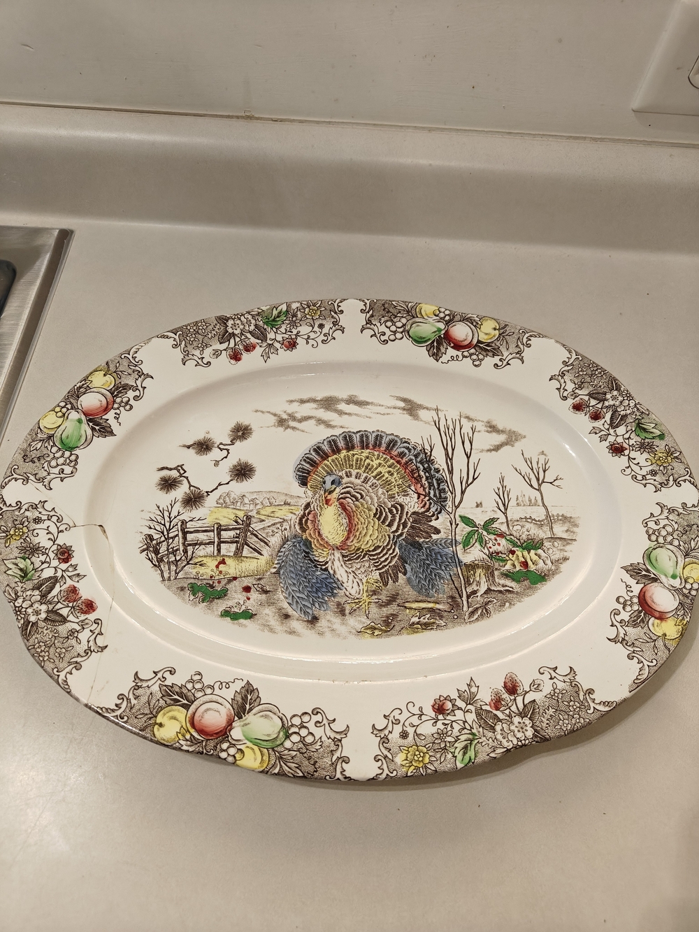 Vintage Turkey Serving Platter